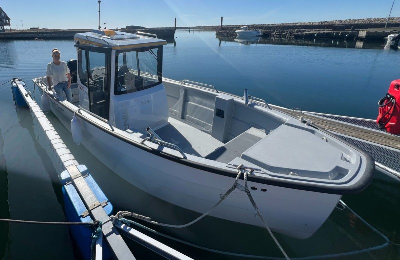 Neu: ab 01.04.2025 inklusive, Sting 725 Pro