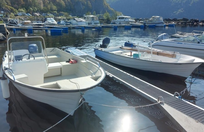 Øien 530 F, Außenborder Yamaha mit 40 PS, Steuerkonsole, Echolot- Kartenplotter 